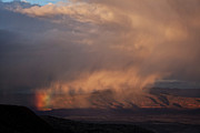Rainbow Rain Photograph by Ron Chilston
