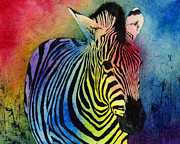 Rainbow Zebra Painting by Hailey E Herrera