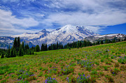 Rainier at Sunrise Photograph by Greg Norrell