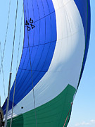 Raising The Blue And Green Sail Photograph by Kathy K McClellan