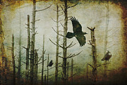 Ravens of the Mist Artistic Expression Photograph by Randall Nyhof Ravens of the Mist Artistic Expression Photograph by Randall Nyhof