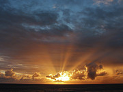 Rays of the Sun at Dawn Photograph by Susan Savad Rays of the Sun at Dawn Photograph by Susan Savad