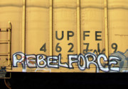 Rebel Force Photograph by Donna Blackhall