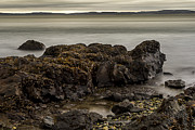 Receding Tide Photograph by Tony Locke
