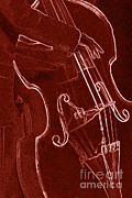 Red Bass Photograph by James L. Amos Red Bass Photograph by James L. Amos
