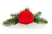 Red Christmas bauble Photograph by Elena Elisseeva