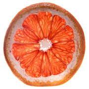 Red Grapefruit Photograph by Steve Gadomski