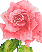 Red Rose Painting by Sally Quillin