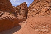 Red Sandstone Photograph by Richard and Ellen Thane
