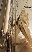 Reefing the Mainsail In Sepia Photograph by Jani Freimann