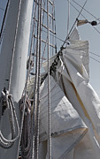 Reefing The Mainsail Photograph by Jani Freimann
