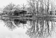 Reflection in Black and White Photograph by Julie Palencia