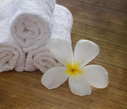 Relax at the Spa Photograph by Kim Hojnacki