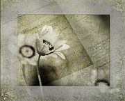 Remembering Yesterday Photograph by Julie Palencia
