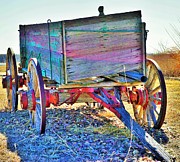 Replaced Photograph by Merle Grenz Replaced Photograph by Merle Grenz