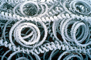 Rime Ice On Mattress Springs Photograph by Nuridsany et Perennou