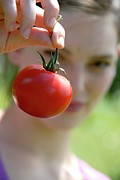Ripe Tomato Photograph by Science Photo Library