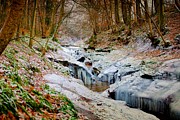River Gelt Photograph by Mark Egerton