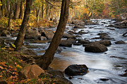 River Majesty Photograph by Leda Robertson