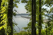 River View From Brandywine Photograph by DArcy Evans