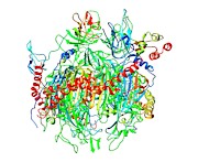 Rna Exosome Complex Photograph by Science Photo Library