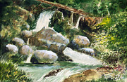 Rocky Mountain Stream Painting by Anthony Coulson