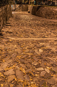 Rocky Road To The River In Savannah Photograph by Gary Slawsky
