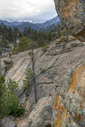 Rocky View Photograph by Tracy Smith