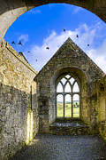 Ross Errilly Friary - Irish Monastic Ruins Photograph by Mark Tisdale