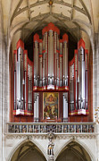 Royal red king of instruments Photograph by Jenny Setchell