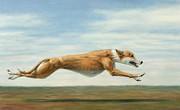 Running Free Painting by James W Johnson