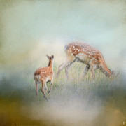 Running To Papa - Baby Deer Photograph by Jai Johnson