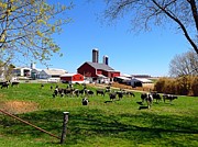 Rural Farm Photograph by Chris Montcalmo