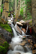Rushing Through Aspens Photograph by Tracy Smith
