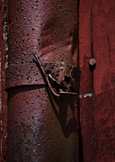 Rusted Pipe and Red Barn 2 Photograph by Rebecca Sherman