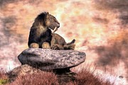 Saber Tooth at Rest Digital Art by Daniel Eskridge Saber Tooth at Rest Digital Art by Daniel Eskridge