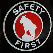 Safety First Photograph by Paul Freidlund