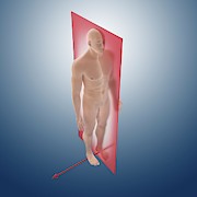 Sagittal Anatomical Orientation Plane Photograph by Science Photo Library