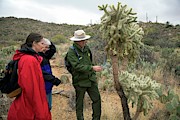 Saguaro National Park Tourism Photograph by Science Photo Library