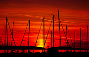 Sail Silhouettes Photograph by Darren Bradley