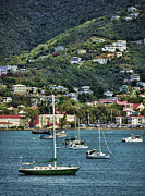Sailboats Resting In St. Thomas Photograph by Ken Johnson