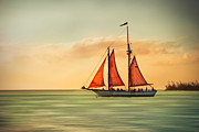 Sailing Into The Sun Photograph by Hannes Cmarits