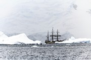 Sailing Ship Europa In Antarctica Photograph by Science Photo Library