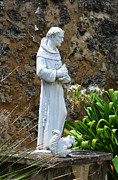 Saint Francis of Assisi Statue at Mission San Jose in San Antonio Missions National Historical Park Photograph by Shawn O'Brien