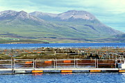 Salmon Farm Photograph by Science Photo Library