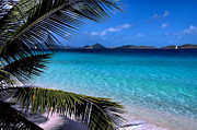 Saloman Beach - St. John Photograph by Stephen Vecchiotti