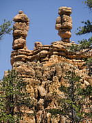 Silent Sentinals in Red Rock Canyon Photograph by Brenda Kean