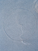 Sand Circle In A Sand Dune Photograph by Science Photo Library