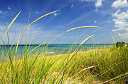 Sand dunes at beach 1 Photograph by Elena Elisseeva