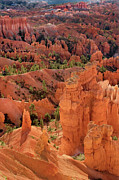 Sandstone Hoodoos At Sunrise Bryce Canyon National Park Utah Photograph by Dave Welling